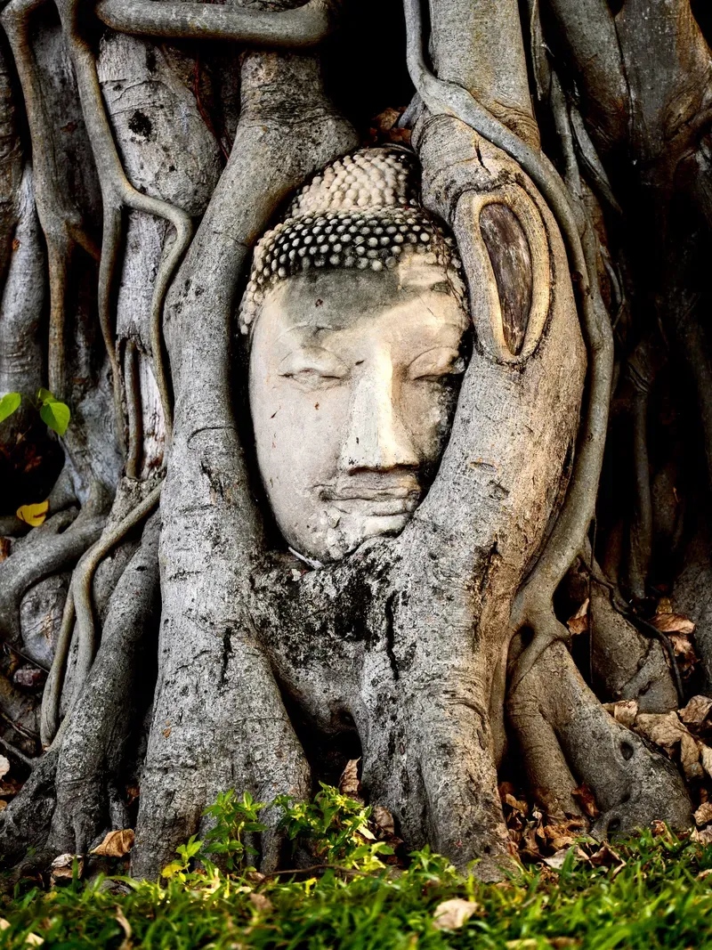 Ayutthaya view 4